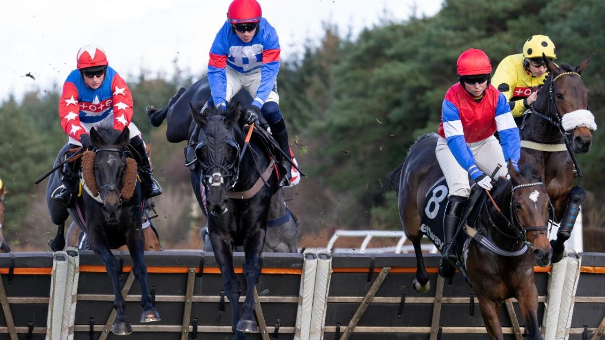 Jumps racing at Exeter